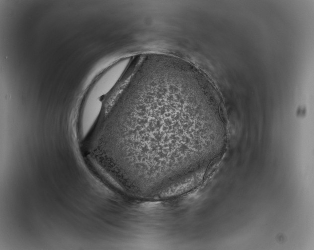 X0000102460054200808221629