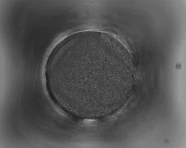 X0000102460055200808221629