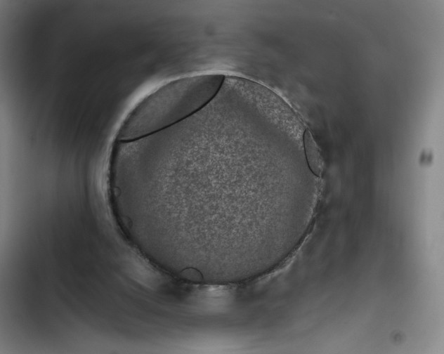 X0000102460056200808221629