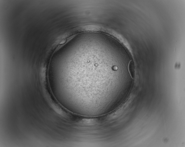 X0000102460057200808221629