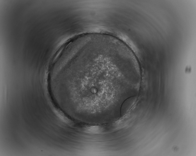 X0000102460058200808221629