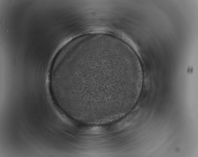 X0000102460059200808221629