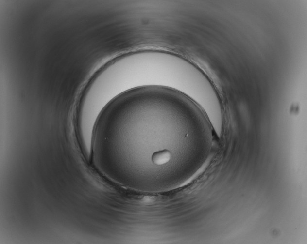 X0000102460060200808221629