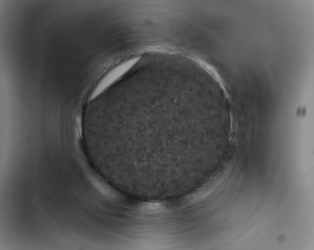 X0000102460061200808221629