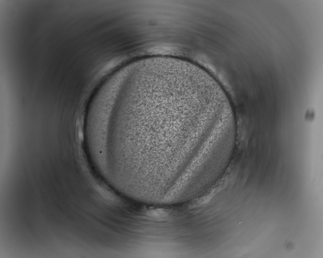 X0000102460062200808221629