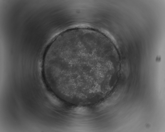 X0000102460063200808221629