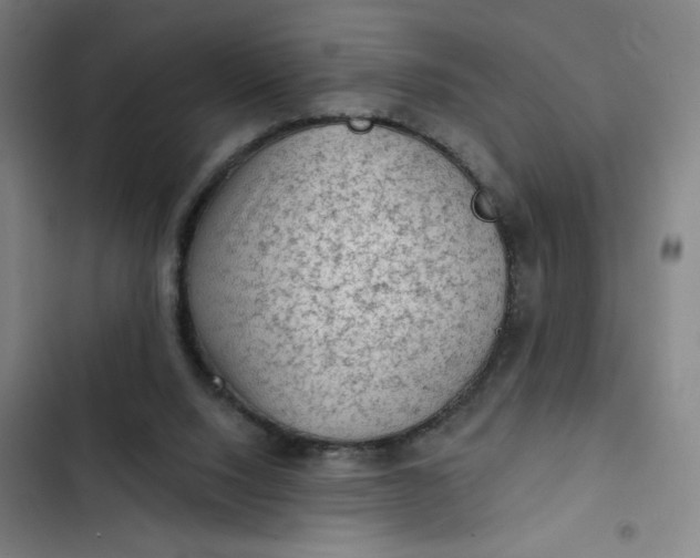 X0000102460064200808221629