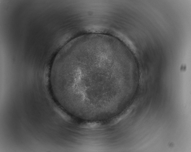 X0000102460065200808221629