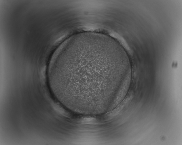 X0000102460066200808221629