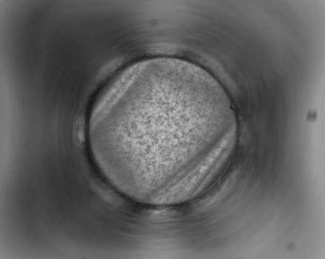 X0000102460068200808221629