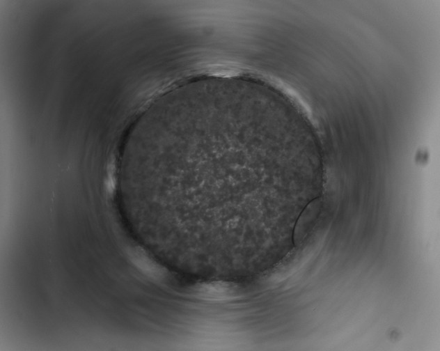 X0000102460069200808221629