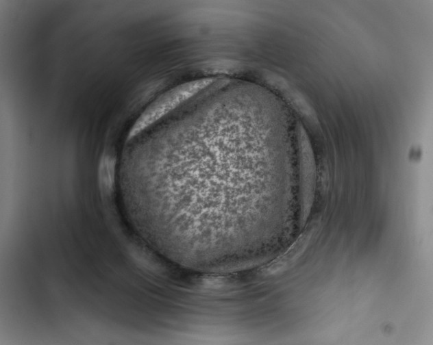 X0000102460070200808221629