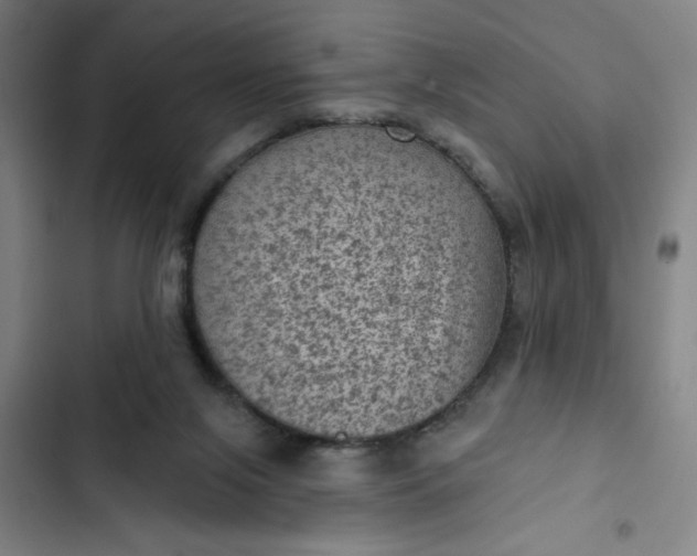 X0000102460071200808221629