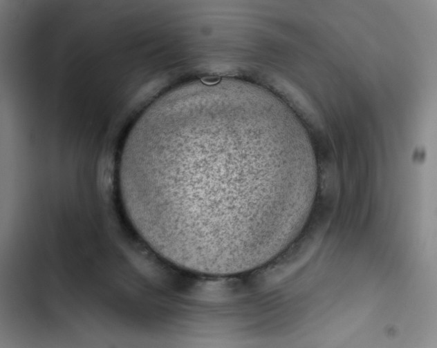 X0000102460072200808221629