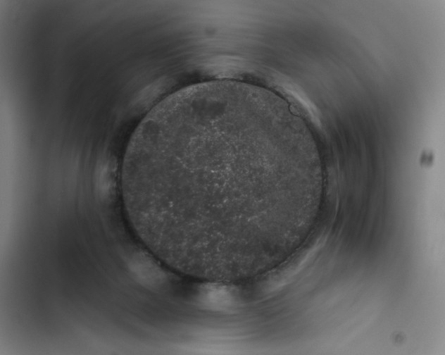 X0000102460073200808221629