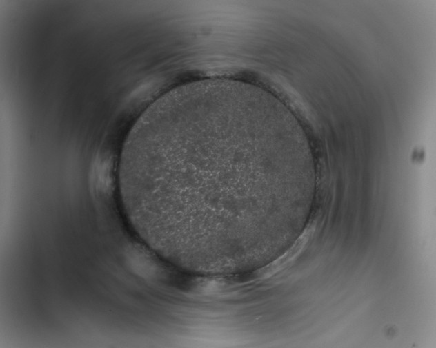 X0000102460074200808221629