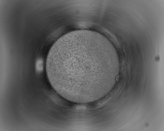 X0000102460075200808221629