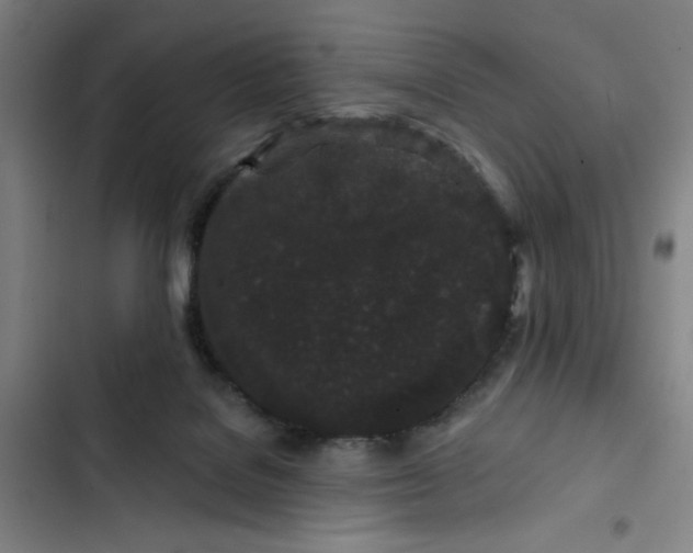 X0000102460076200808221629