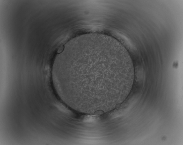 X0000102460077200808221629