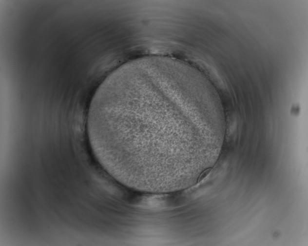 X0000102460078200808221629