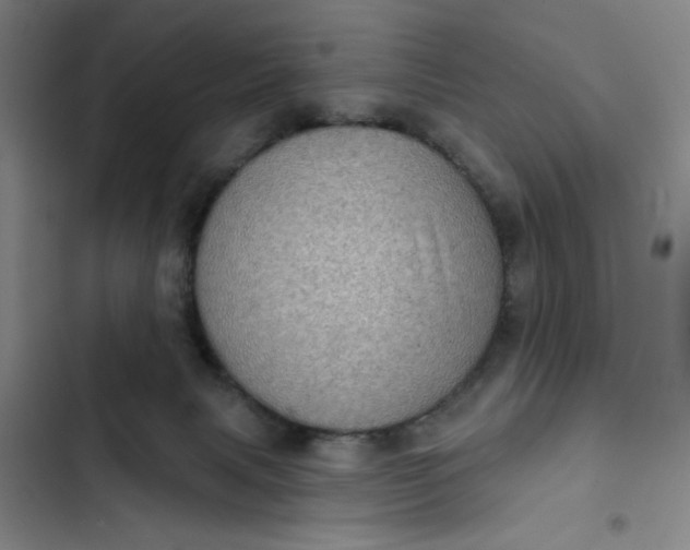 X0000102460079200808221629