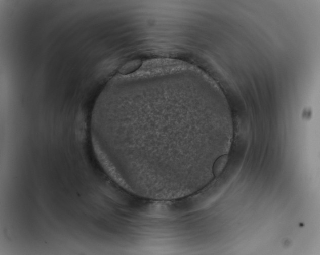 X0000102460080200808221629