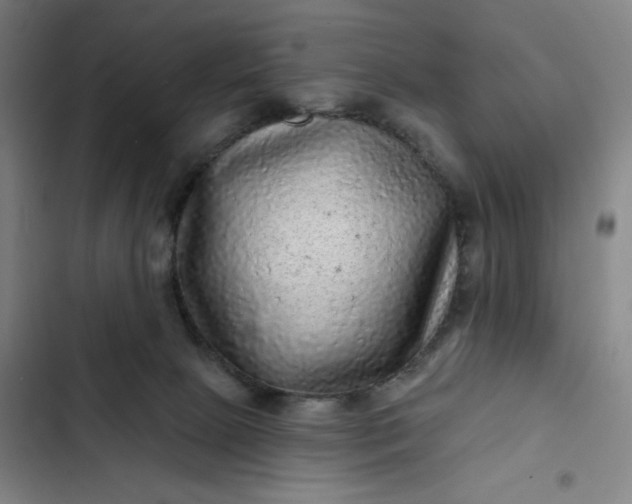 X0000102460081200808221629