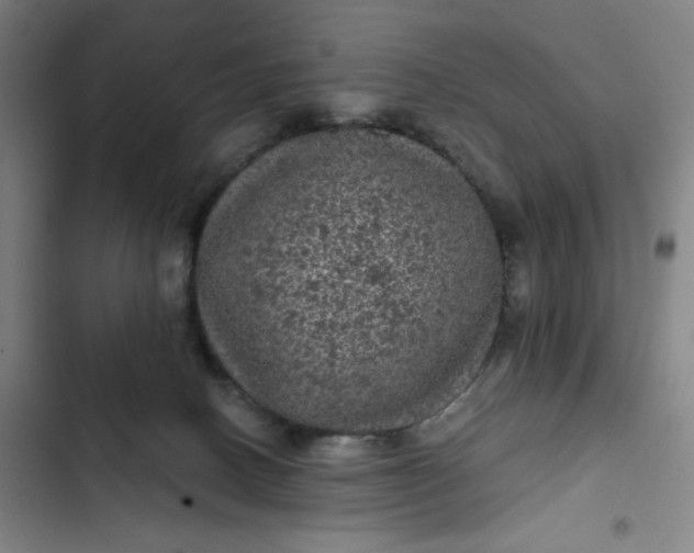 X0000102460082200808221629