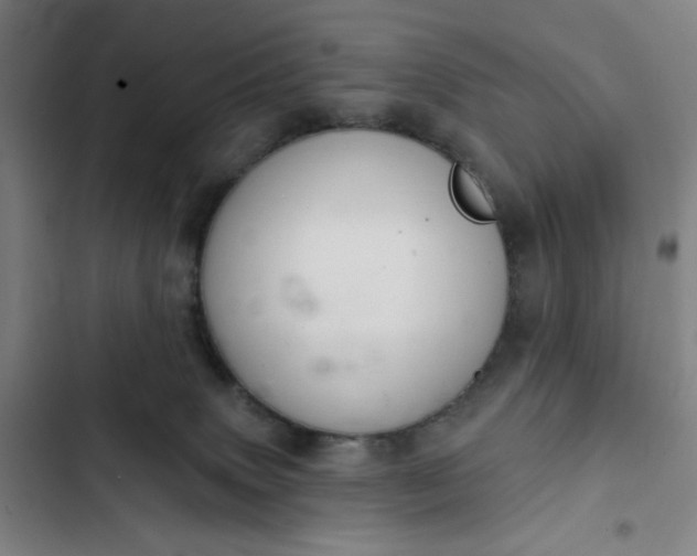 X0000102460083200808221629