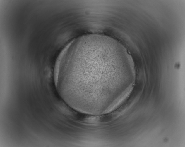 X0000102460084200808221629