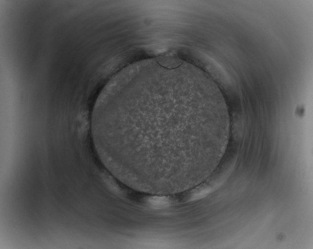 X0000102460085200808221629