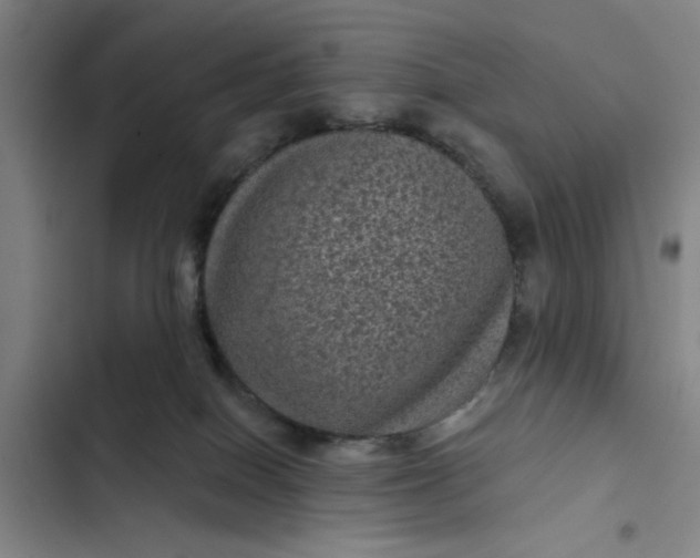 X0000102460086200808221629