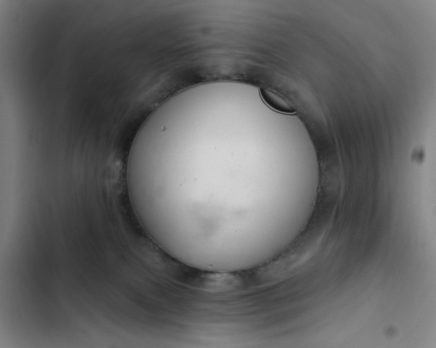 X0000102460087200808221629