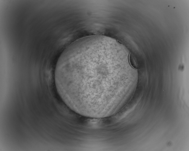 X0000102460088200808221629