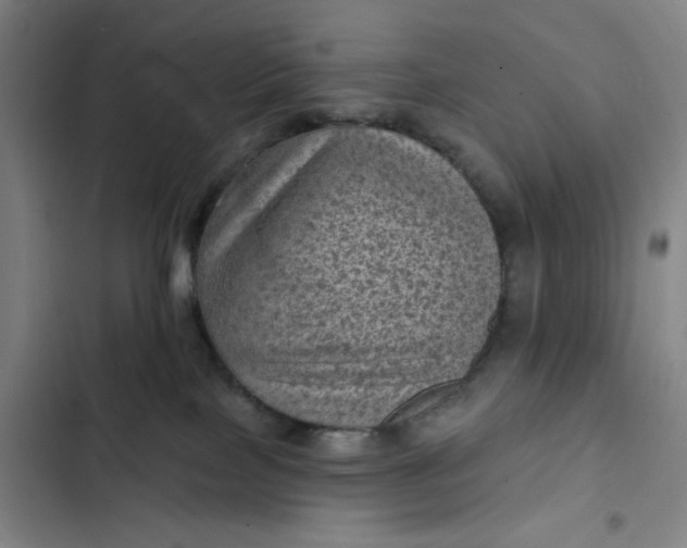 X0000102460089200808221629