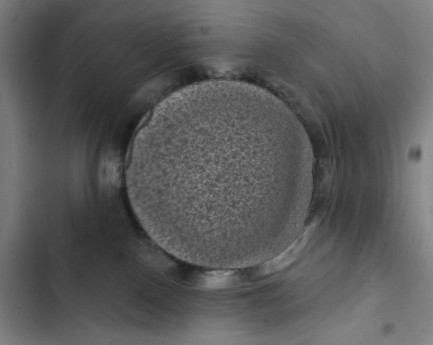 X0000102460090200808221629