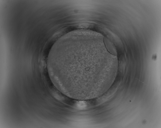 X0000102460091200808221629