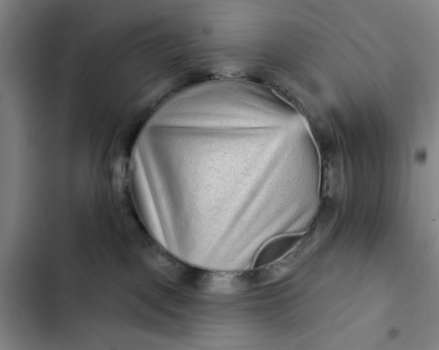 X0000102460093200808221629