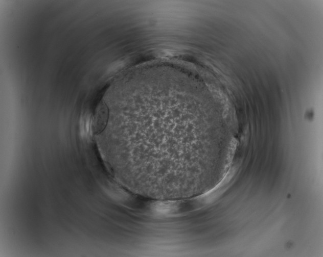 X0000102460094200808221629