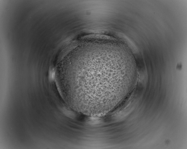 X0000102460095200808221629