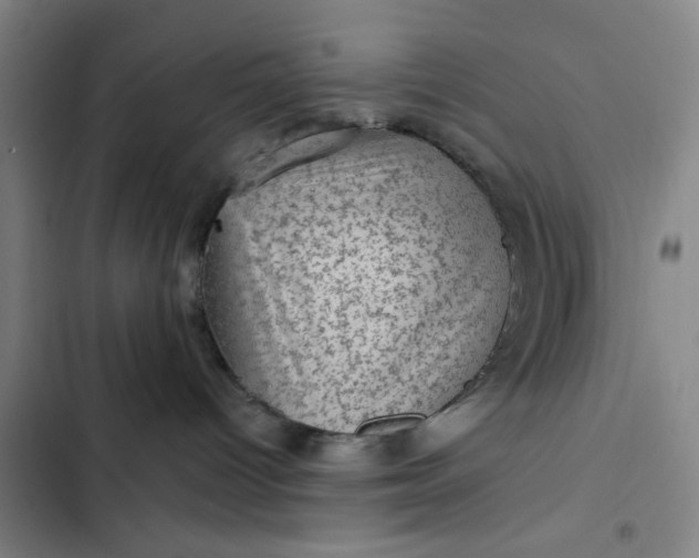 X0000102460096200808221629