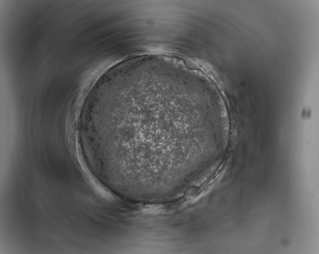 X0000102460097200808221629