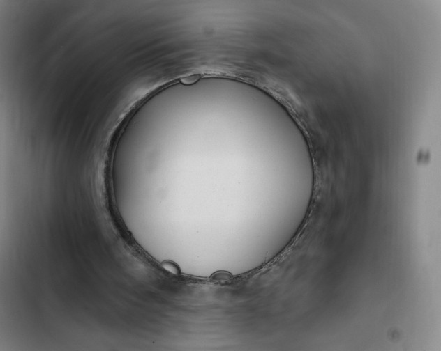 X0000102460098200808221629