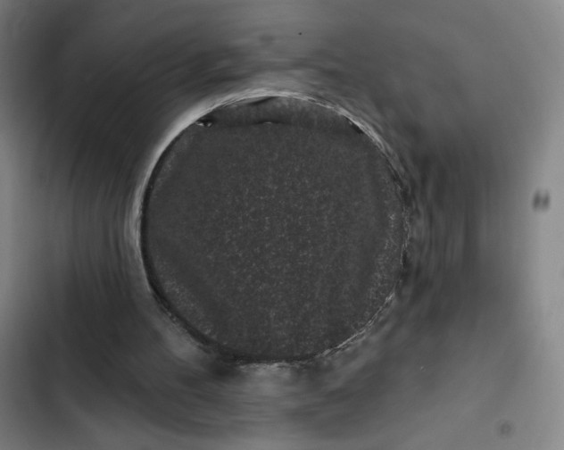 X0000102460100200808221629