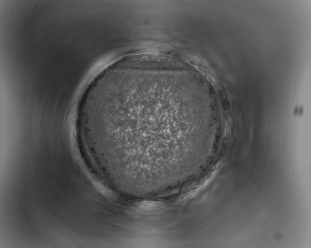 X0000102460101200808221629