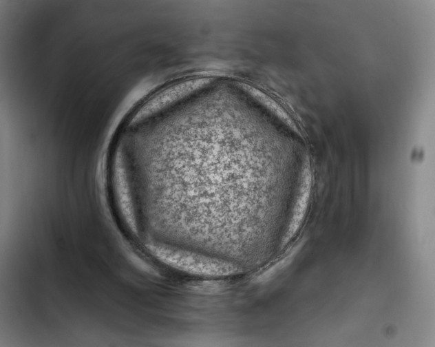 X0000102460102200808221629