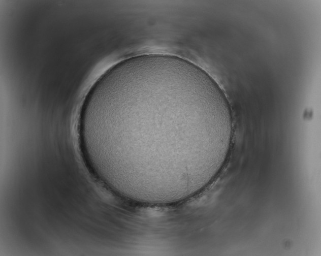 X0000102460103200808221629