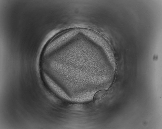 X0000102460104200808221629