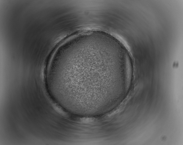 X0000102460105200808221629