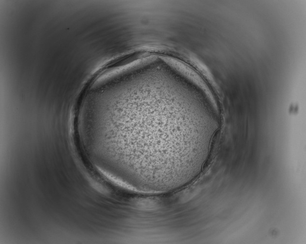 X0000102460106200808221629